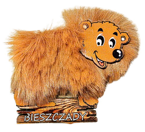 BIESZCZADY_MAGNES_NIEDZWIEDZ_BRAZOWY.png