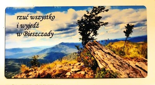 BIESZCZADY_PANORAMA_POLONINY_SAMOTNE_DRZEWO_POZIOM.jpg