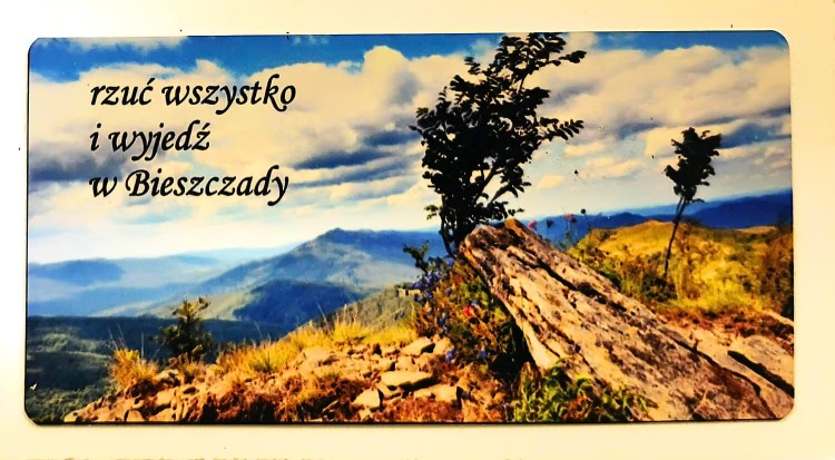 BIESZCZADY_PANORAMA_POLONINY_SAMOTNE_DRZEWO_POZIOM.jpg