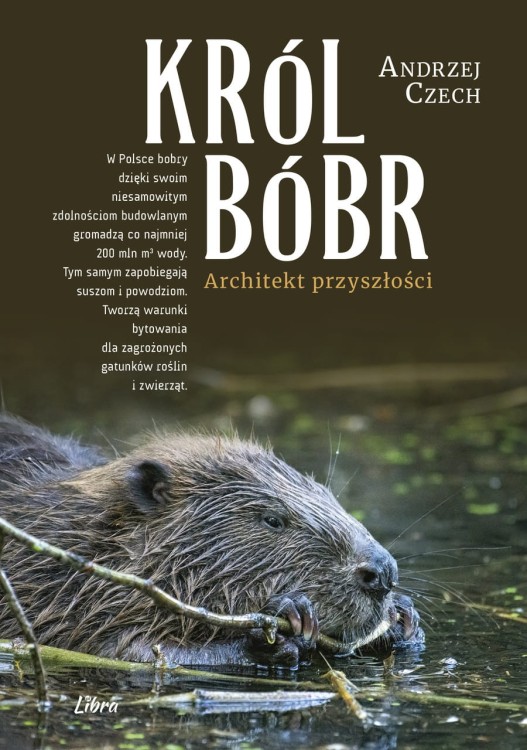 KROL_BOBR_ANDRZEJ_CZECH_OKLADKA.jpg