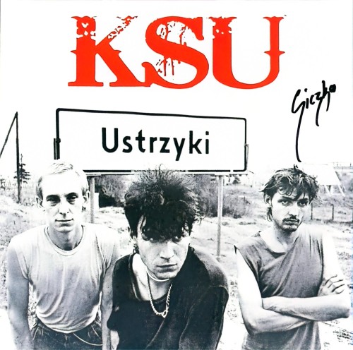 KSU_USTRZYKI_PLYTA_VINYL_SKLEP_BIESZCZADZKIE_ANIOLY.jpg